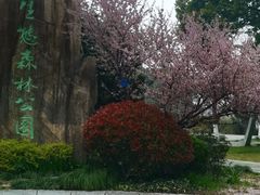 -昆山城市生态森林公园