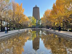 -玲珑塔公园
