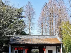 -汇龙潭