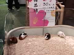 -瑞虹新天地月亮湾