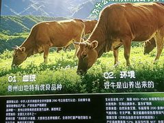 -贵府酸汤牛肉火锅·贵州老字号(飞山街店)