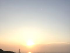 -枸杞岛
