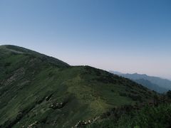 -牛背梁国家森林公园