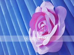 -上海兴国宾馆丽笙精选