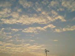 -大湾区中央湿地公园