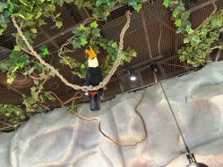 -Zoolung Zoolung动物主题公园(海信广场店)