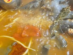 鲶鱼酸汤鱼锅-弘烨 贵州酸汤 鱼火锅(东财店)