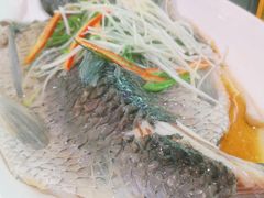 -鲤鱼塘农家山庄