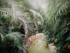 -龙达温泉生态城