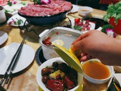 -清真军邺·金富苑肥牛(石坡街旗舰店)