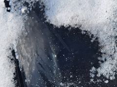 -丁香湖公园