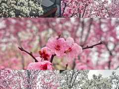 -堤角公园