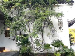 -日出青木
