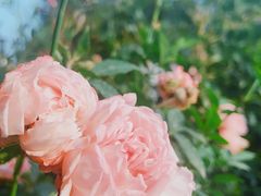 -人民公园(罗湖区)