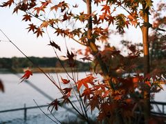 -昆山城市生态森林公园