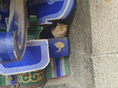 -娲皇宫