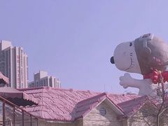 -史努比缤纷世界