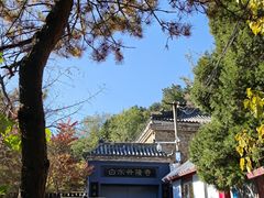 -白水寺森林公园