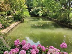 -上海醉白池公园