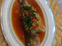 -爱的果实月嫂育婴师(世纪东方店)