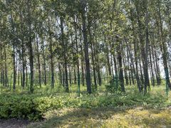 -辽宁团山国家级海洋公园