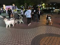 -优托邦(长兴路店)