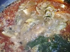 -小小河边鱼·黄辣丁鲜鱼锅(黎阳店)