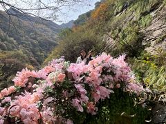 -少华山国家森林公园