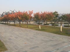 -滨湖塘西河公园