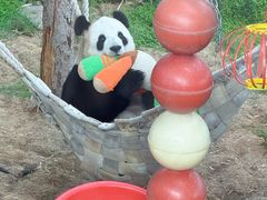 -大连森林动物园