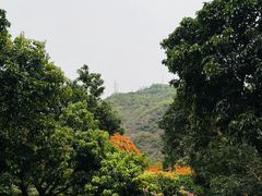 -月亮湾公园