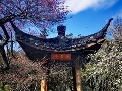 -杭州植物园