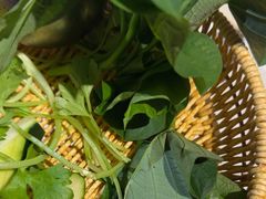 -巴奴毛肚火锅(相州店)