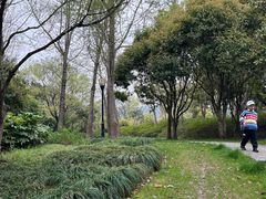 -宝界山林公园