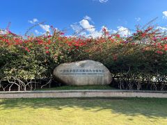 -中国科学院西双版纳热带植物园