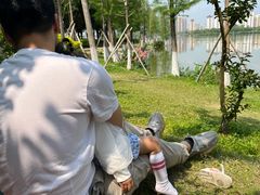 -飞来湖湿地公园