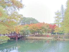 -尚湖风景区