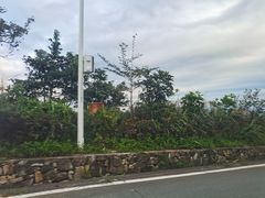 -东部华侨城