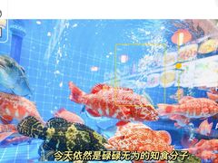 -叶氏大快活酒楼·佛山老字号