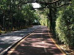 -梧桐山风景名胜区