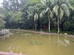 -深圳国际园林花卉博览园