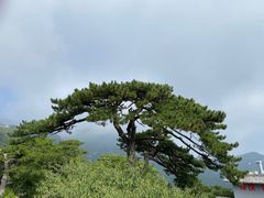 -妙峰山风景名胜区