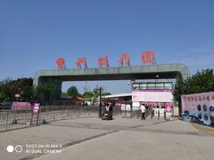 -曹州牡丹园