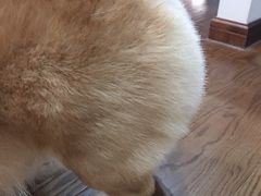 -美美酱宠物(外运路小区店)