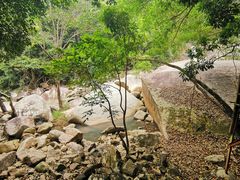 -海南霸王岭国家森林公园