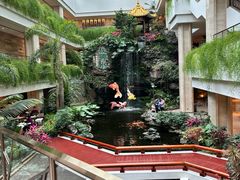 -白天鹅宾馆-宏图府餐厅