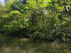 -苏州河梦清园环保主题公园