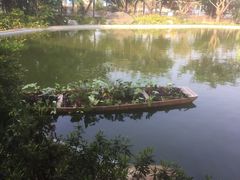 -佛山市三水温泉度假村