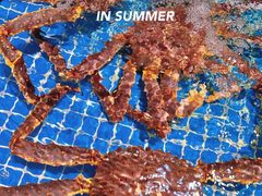 -三亚火车头万人海鲜广场