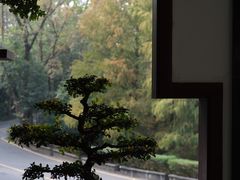 -深圳仙湖植物园